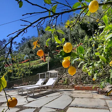 Ardesia Crocetta (Liguria)