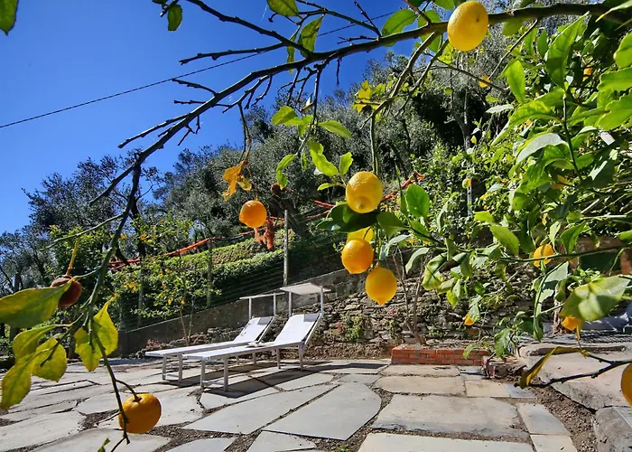 Ardesia Crocetta (Liguria)